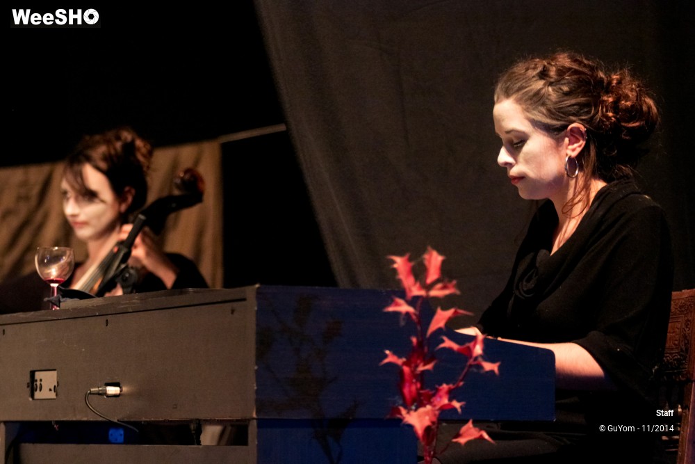 33/49 photos du spectacle Le Bal des Vampires - Ambiance et présentation