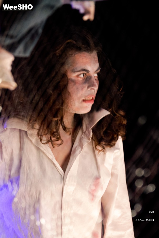 41/49 photos du spectacle Le Bal des Vampires - Ambiance et présentation