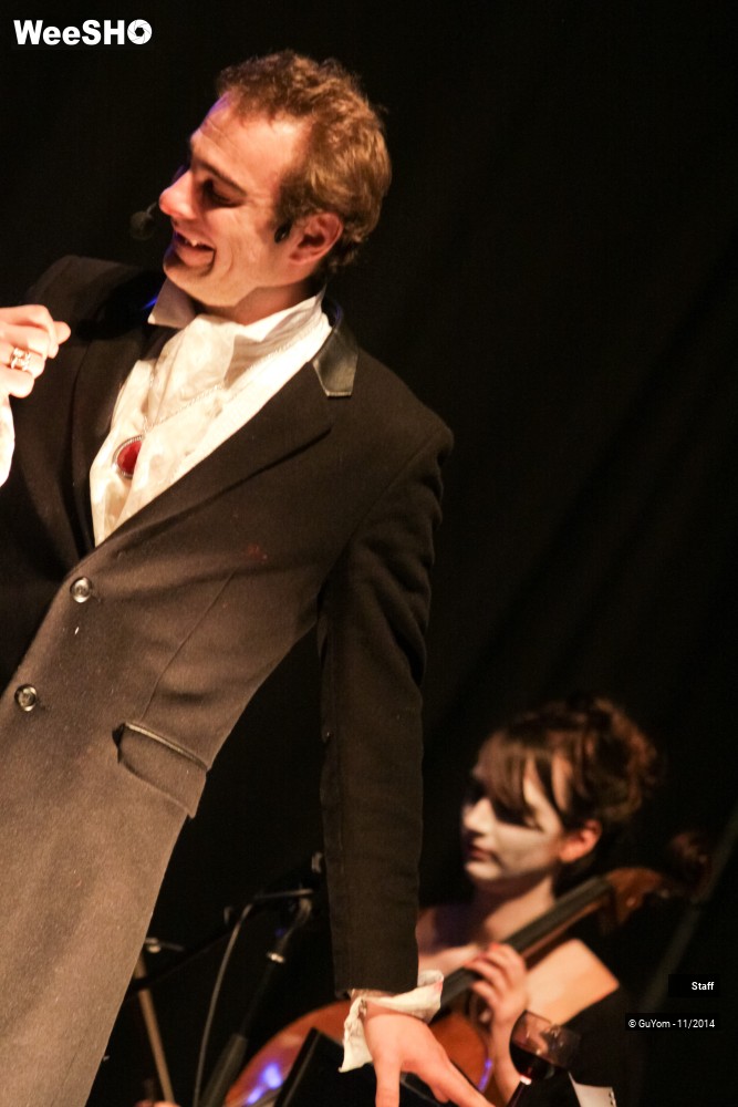 46/49 photos du spectacle Le Bal des Vampires - Ambiance et présentation