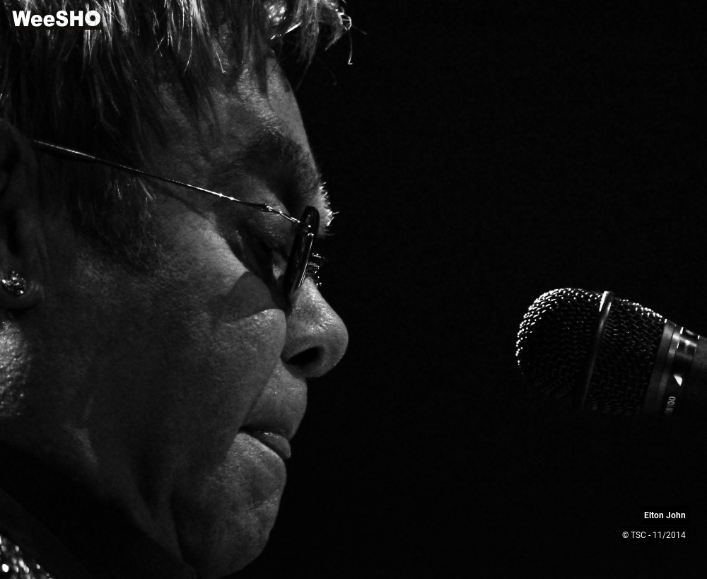 13/20 photos du spectacle Elton John
