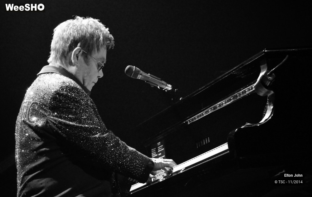 18/20 photos du spectacle Elton John