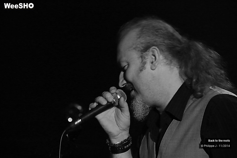 7/11 photos du spectacle Back to the Roots