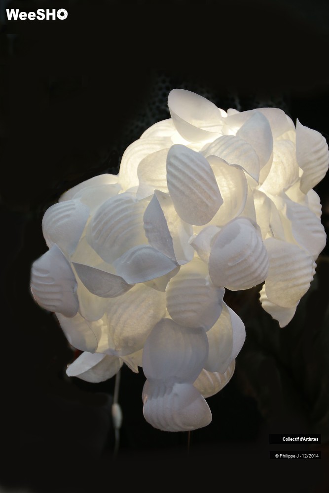 27/37 photos du spectacle Braderie de l'Art 2014 # 1