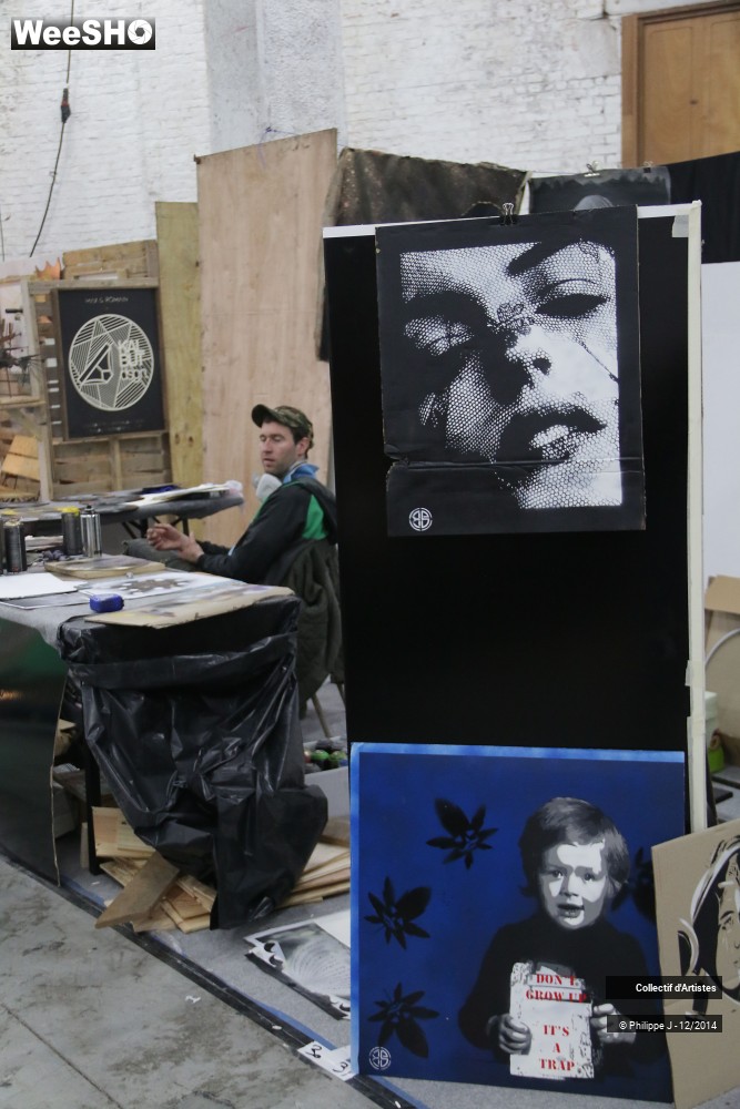 20/36 photos du spectacle Braderie de l'Art 2014 # 2