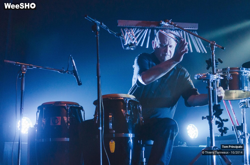 1/44 photos du spectacle Tom Principato