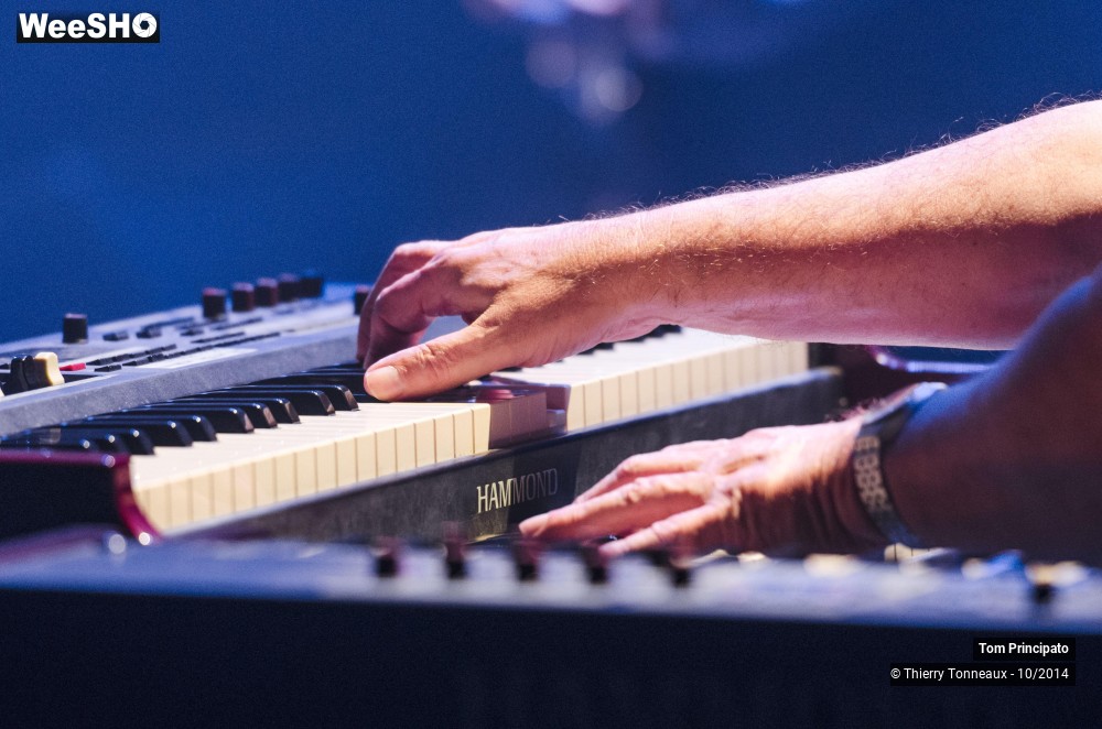 4/44 photos du spectacle Tom Principato