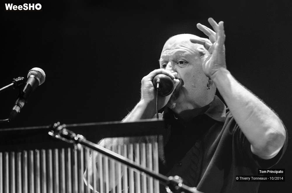 8/44 photos du spectacle Tom Principato