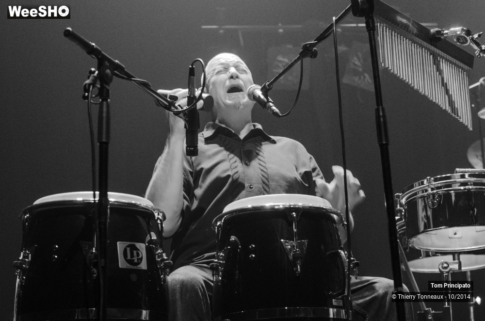 11/44 photos du spectacle Tom Principato