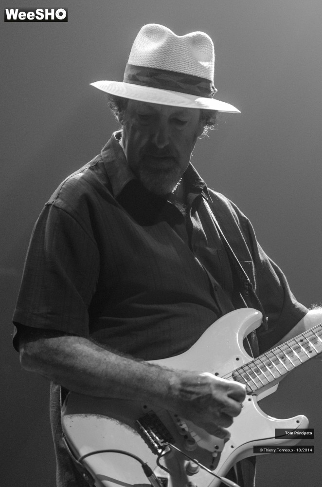 18/44 photos du spectacle Tom Principato
