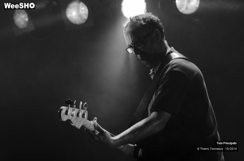 20/44 photos du spectacle Tom Principato