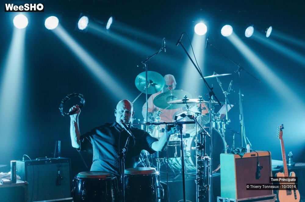 21/44 photos du spectacle Tom Principato