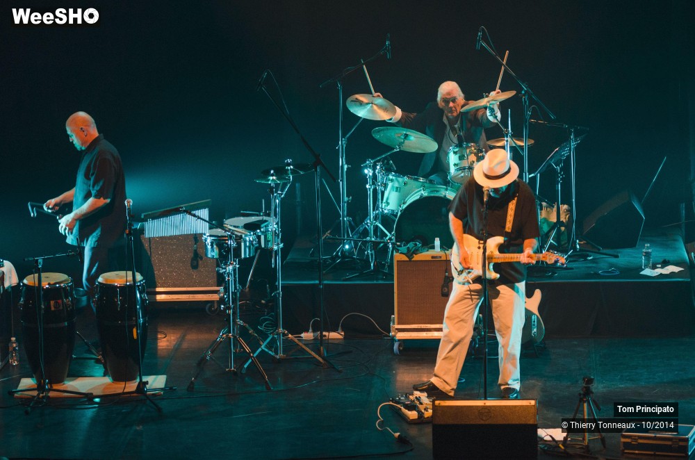 37/44 photos du spectacle Tom Principato