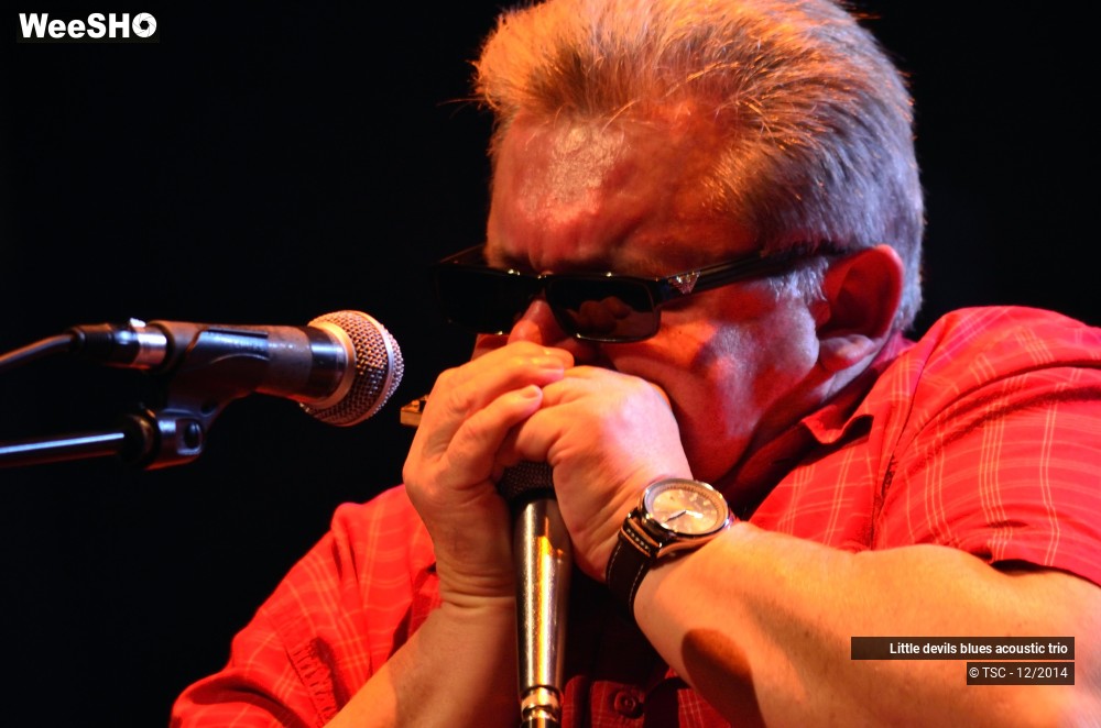 1/18 photos du spectacle Little devils blues acoustic trio