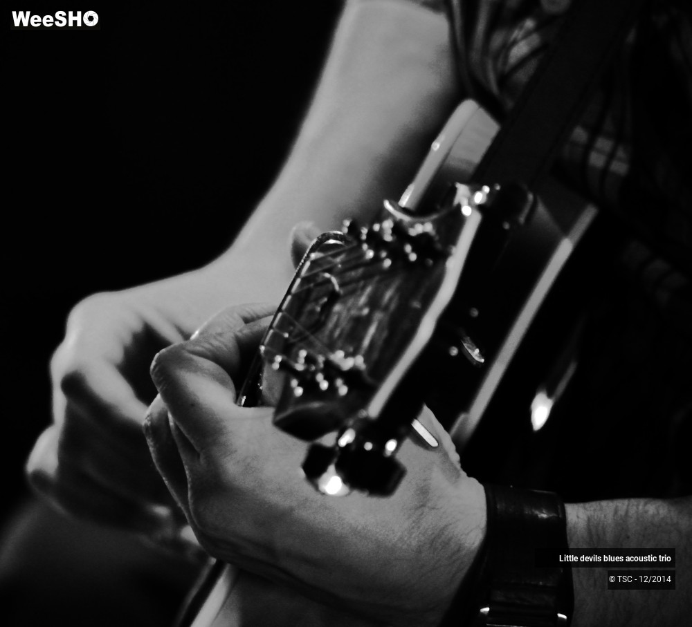 5/18 photos du spectacle Little devils blues acoustic trio