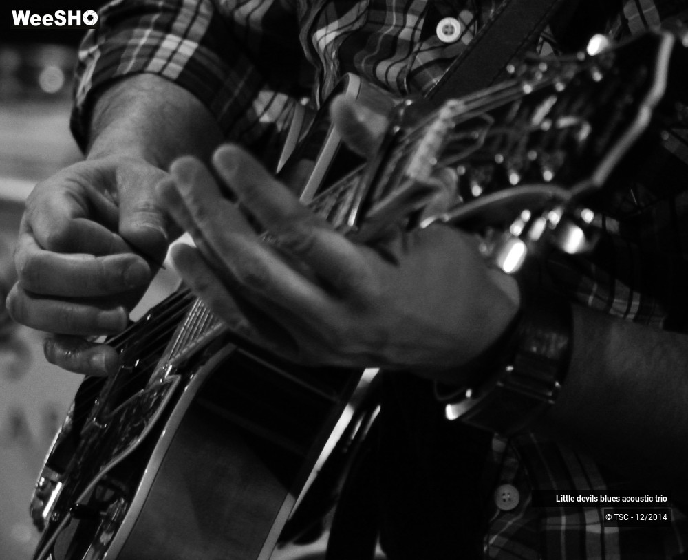 6/18 photos du spectacle Little devils blues acoustic trio