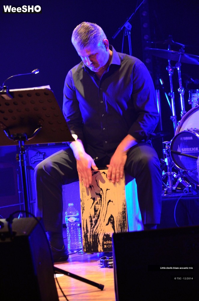 14/18 photos du spectacle Little devils blues acoustic trio