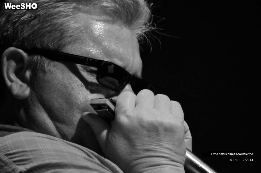 16/18 photos du spectacle Little devils blues acoustic trio