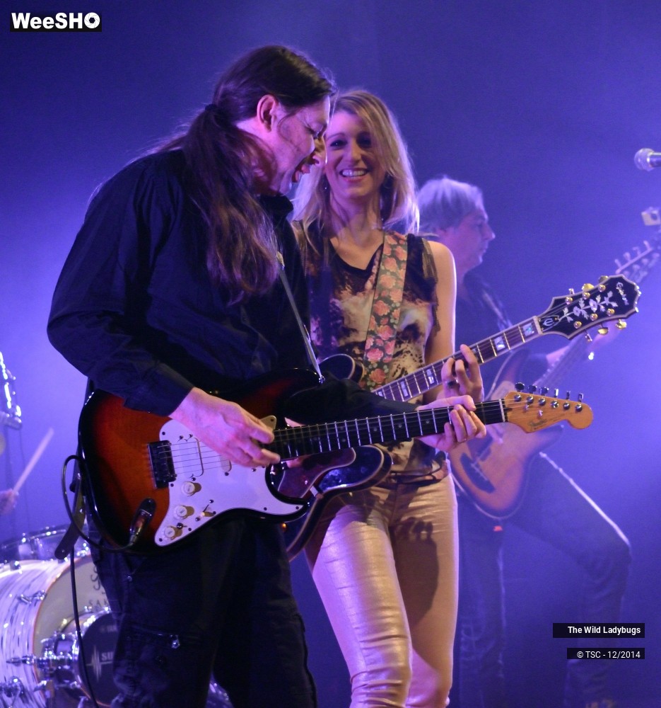 12/26 photos du spectacle The wild ladybugs
