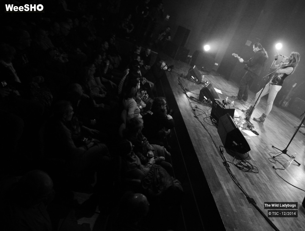 16/26 photos du spectacle The wild ladybugs