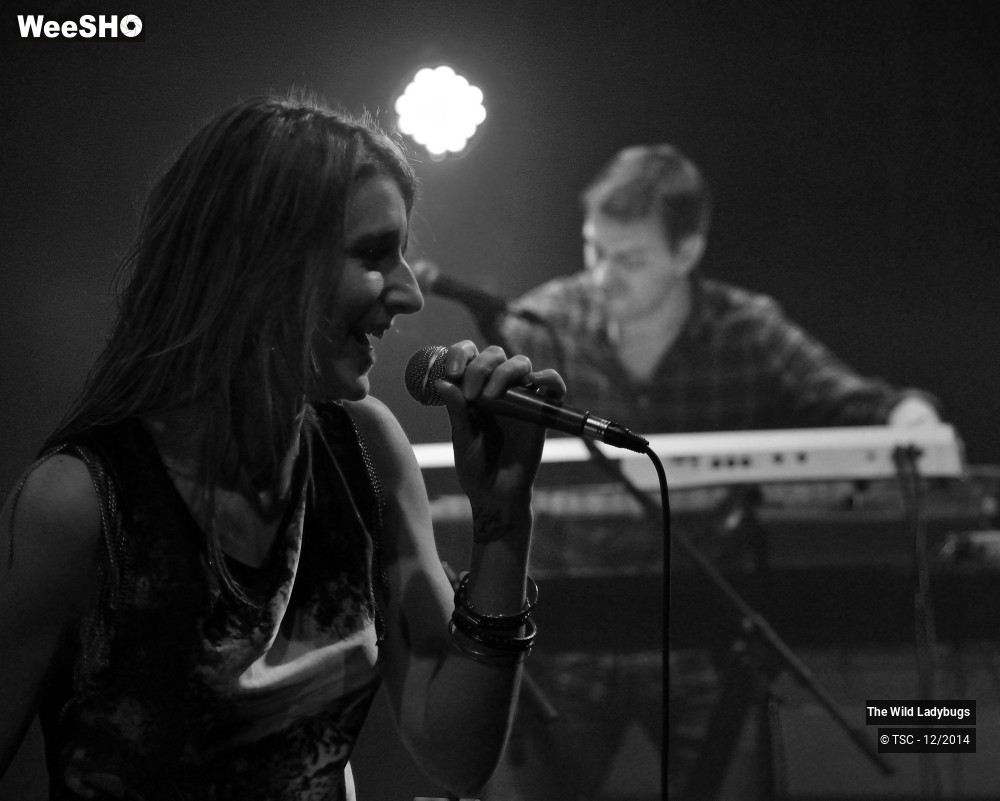 20/26 photos du spectacle The wild ladybugs