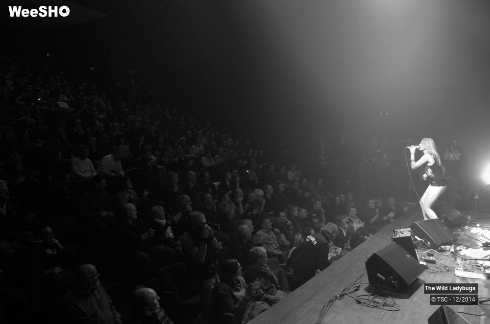 22/26 photos du spectacle The wild ladybugs