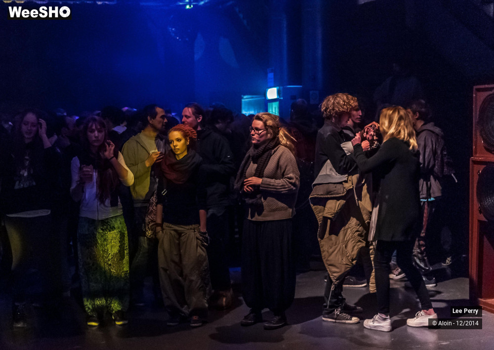 3/32 photos du spectacle Lee Scratch Perry & Friends