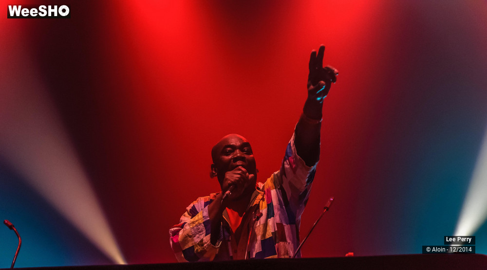 4/32 photos du spectacle Lee Scratch Perry & Friends