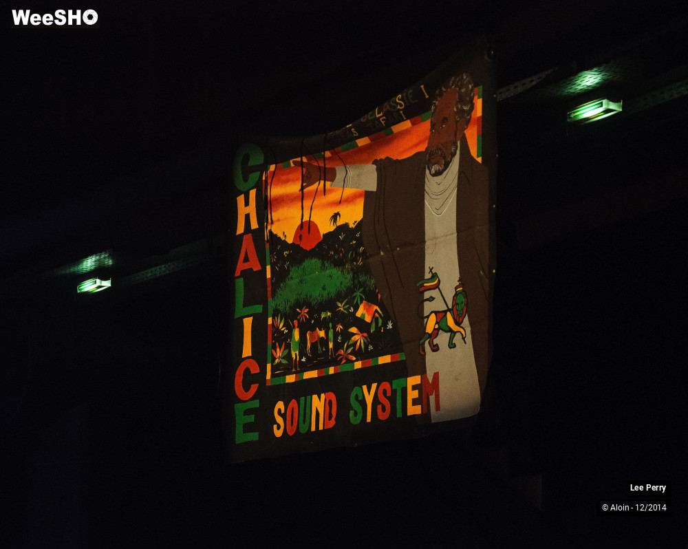 6/32 photos du spectacle Lee Scratch Perry & Friends