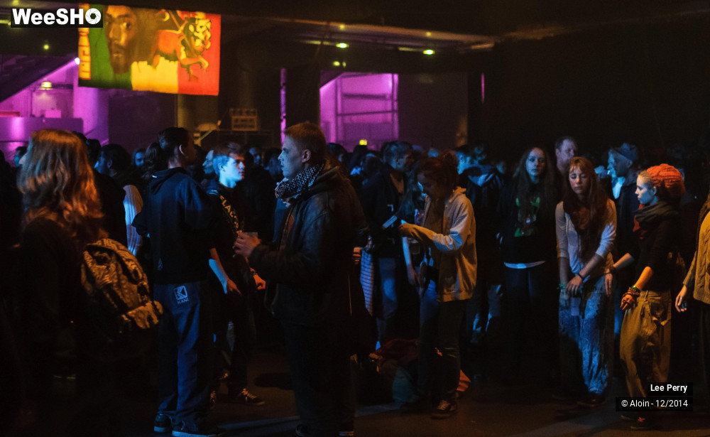 8/32 photos du spectacle Lee Scratch Perry & Friends