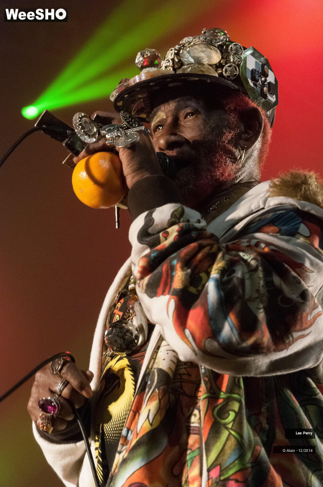 12/32 photos du spectacle Lee Scratch Perry & Friends