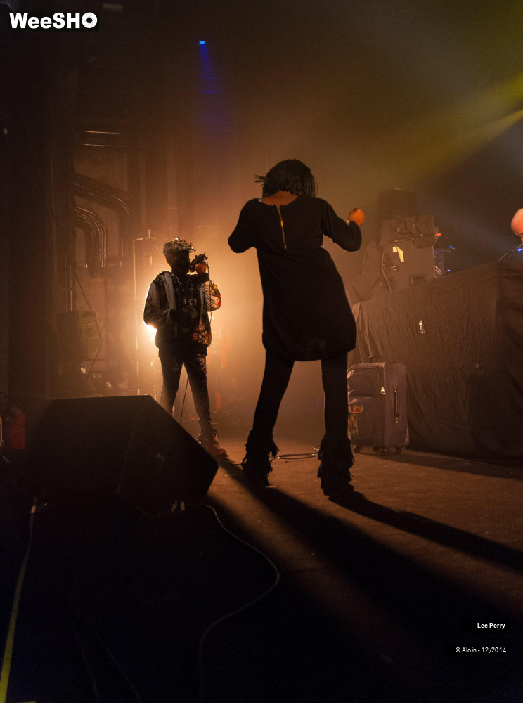 14/32 photos du spectacle Lee Scratch Perry & Friends