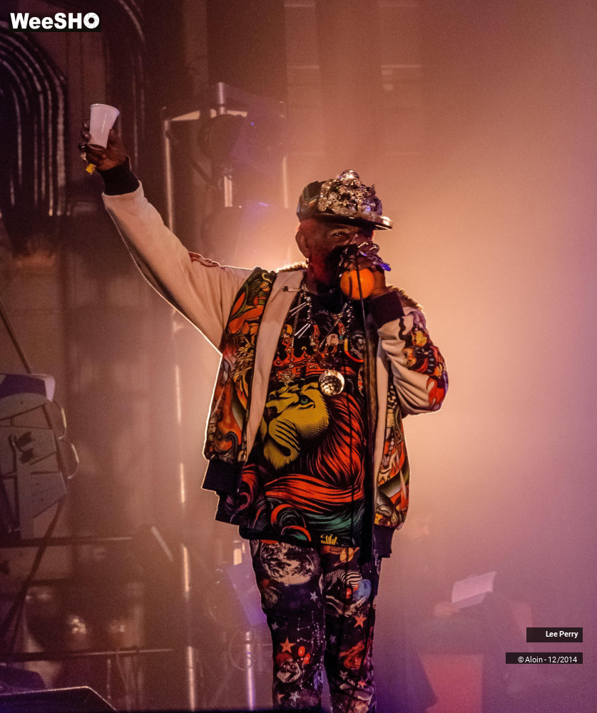 15/32 photos du spectacle Lee Scratch Perry & Friends