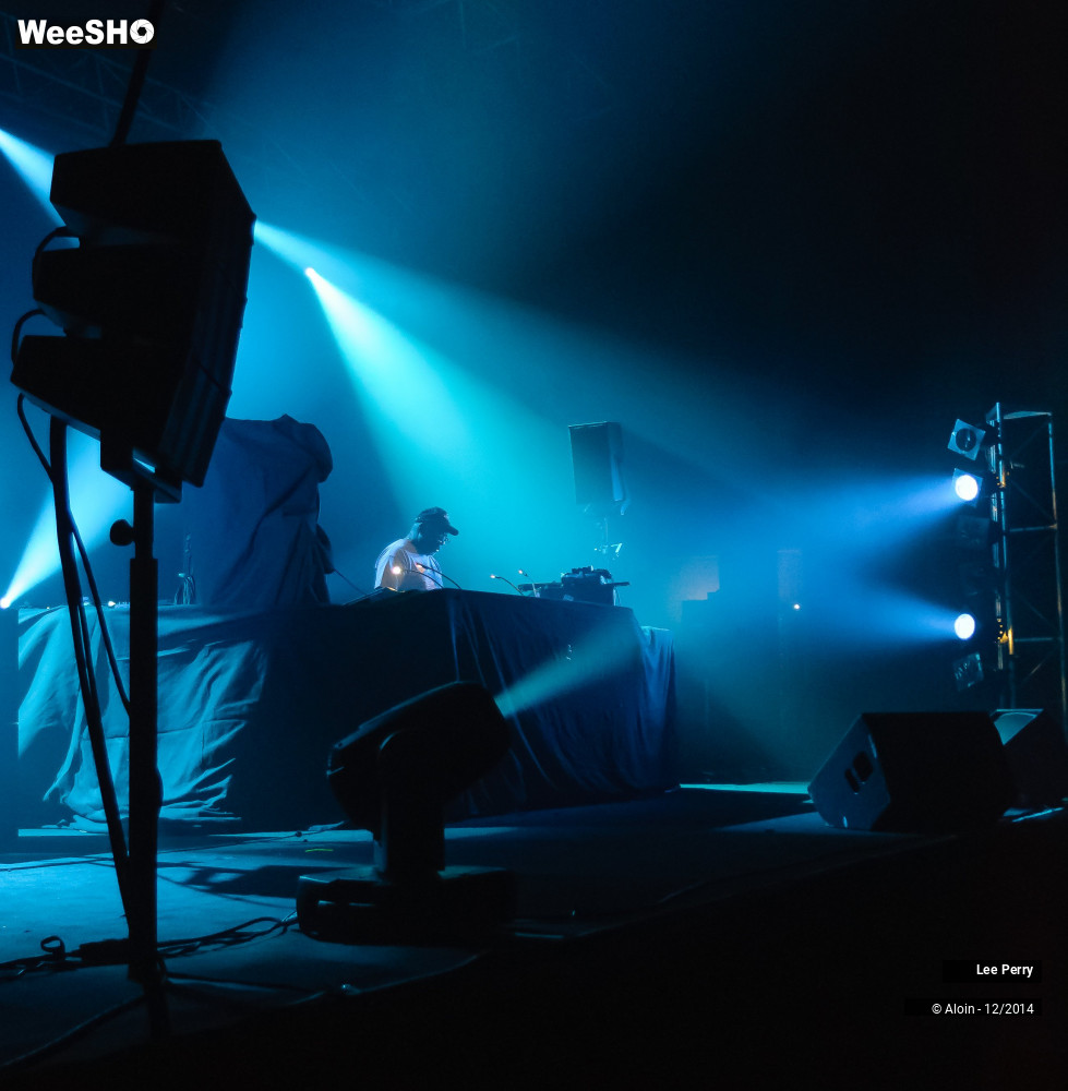 18/32 photos du spectacle Lee Scratch Perry & Friends