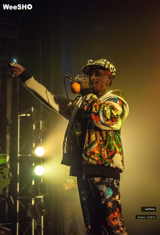 19/32 photos du spectacle Lee Scratch Perry & Friends