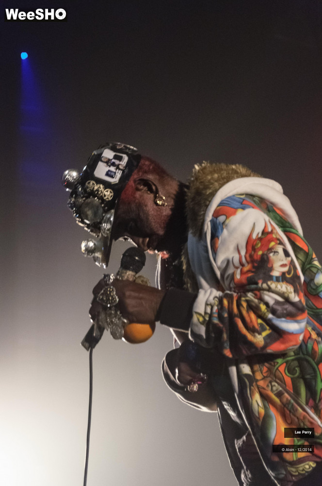 22/32 photos du spectacle Lee Scratch Perry & Friends