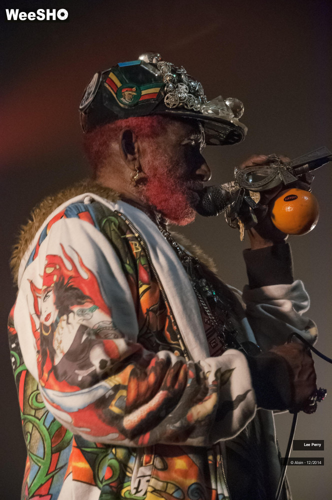 23/32 photos du spectacle Lee Scratch Perry & Friends