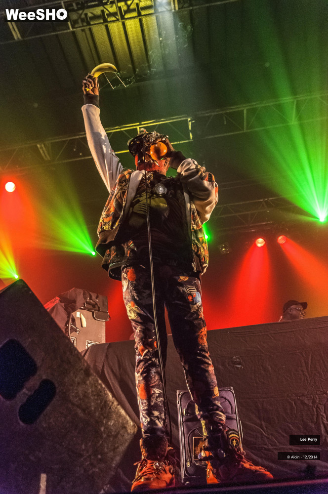 25/32 photos du spectacle Lee Scratch Perry & Friends