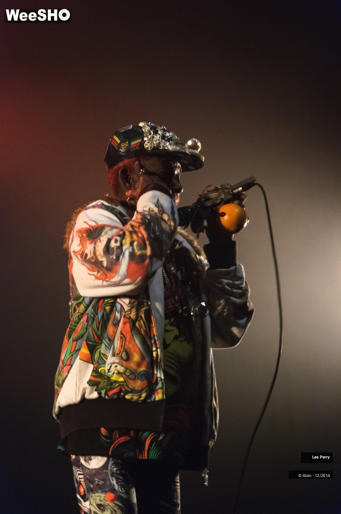 28/32 photos du spectacle Lee Scratch Perry & Friends