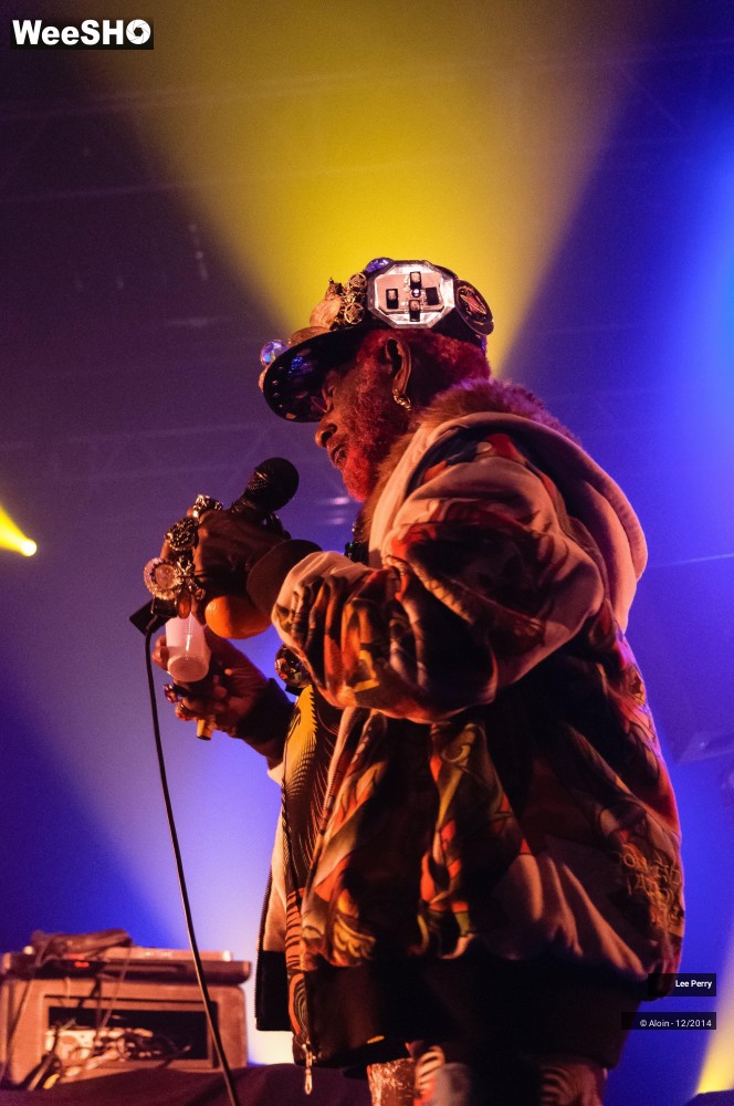 29/32 photos du spectacle Lee Scratch Perry & Friends