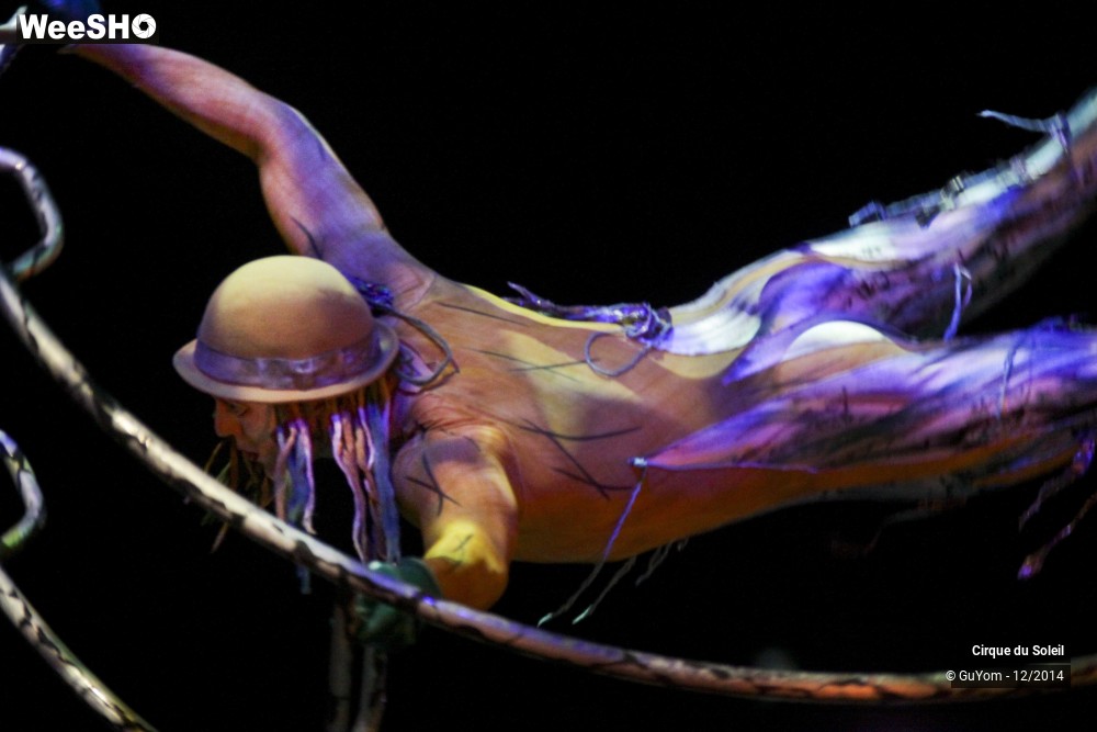 39/50 photos du spectacle Quidam - tableaux 1 & 2