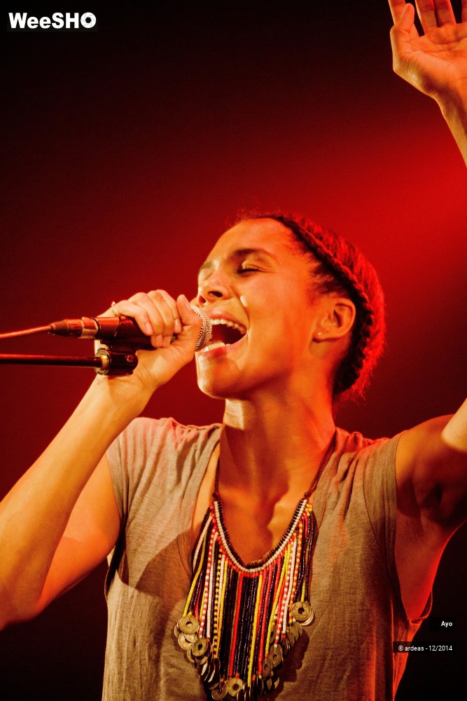 2/43 photos du spectacle Ayo