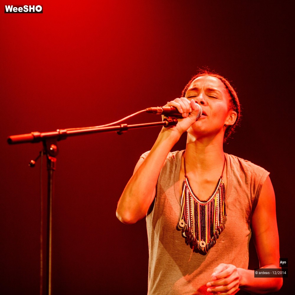 16/43 photos du spectacle Ayo