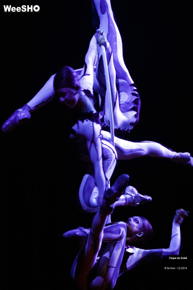 2/50 photos du spectacle Quidam - tableaux 3, 4 & 5