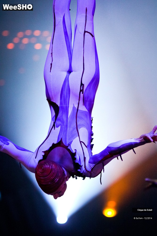 8/50 photos du spectacle Quidam - tableaux 3, 4 & 5