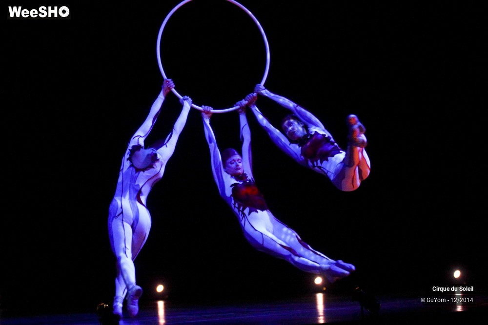 16/50 photos du spectacle Quidam - tableaux 3, 4 & 5