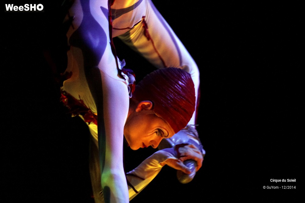 21/50 photos du spectacle Quidam - tableaux 3, 4 & 5