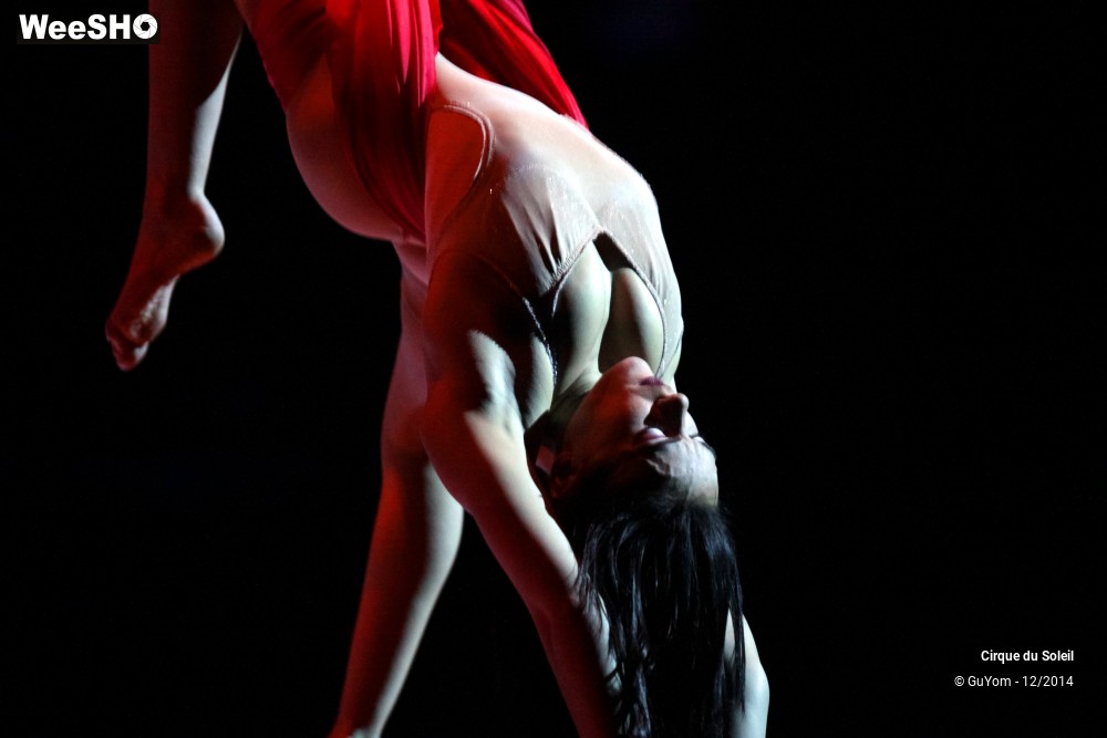 25/50 photos du spectacle Quidam - tableaux 3, 4 & 5