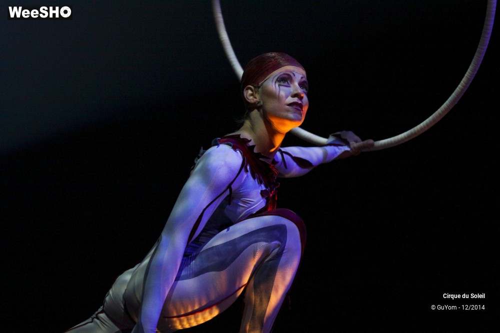 29/50 photos du spectacle Quidam - tableaux 3, 4 & 5