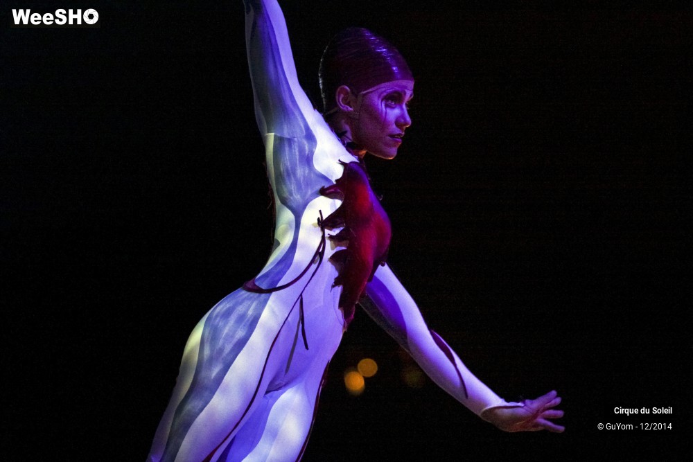 32/50 photos du spectacle Quidam - tableaux 3, 4 & 5