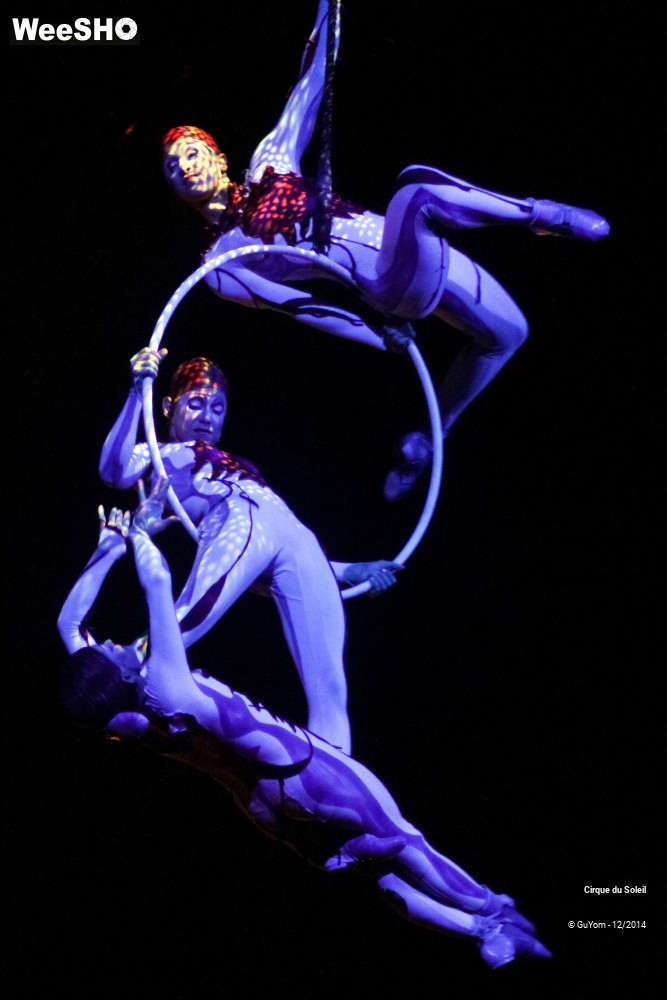 34/50 photos du spectacle Quidam - tableaux 3, 4 & 5